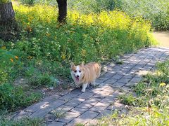 -绿堤公园