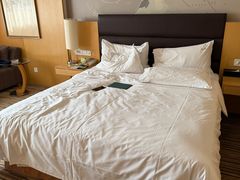 -石家庄万象天成假日酒店