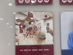-御宝贝24h宠物医院·转诊中心·CT核磁血透中心(厦门总院)
