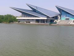 -盐城丹顶鹤湿地生态旅游区