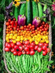 -Oasis Beauty水磨坊科技美肤中心