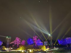 -秀丽东方
