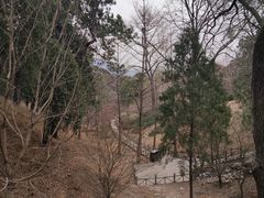 -香山公园