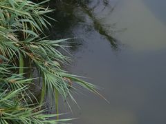 -四海公园(南山区)