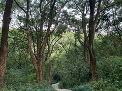 -杭州半山国家森林公园