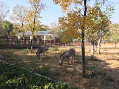 -石家庄市动物园