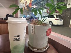 一杯鸭屎香-一杯潮茶·专注潮汕茶饮(朝阳庄店)
