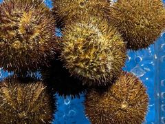 -十二海鲜(南湖店)