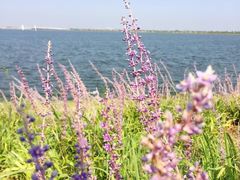 -上海滴水湖皇冠假日酒店