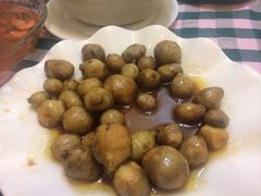 长顺河豚馆-长顺河豚馆(江洲东路)