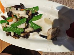 -雀舞云南菜(乐客城店)