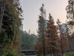 -重庆彩云湖湿地公园