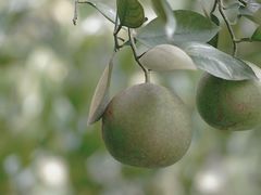 -杭州城北体育公园