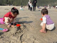 -盐洲岛