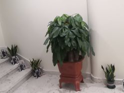 -海涛医疗美容·面部抗衰·注射美鼻