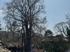 -潭柘寺景区