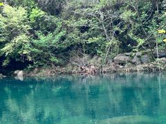 -石台牯牛降景区