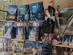 -米苏动物医院·犬猫专科·骨科外科内窥镜