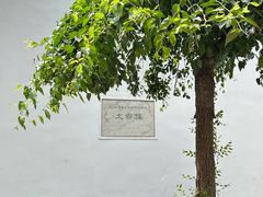 -采石矶景区