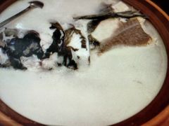 -千岛湖品鱼馆(钓鱼岛店)