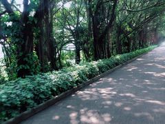 -大湾区中央湿地公园