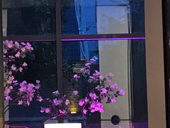 -俏江南天津时尚曲艺主题餐厅(马场道店)