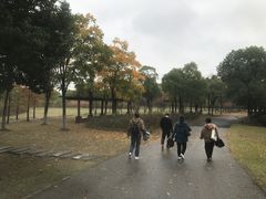 -梁鸿国家湿地公园
