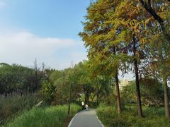 -西溪国家湿地公园