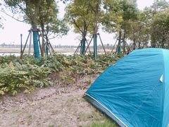 -春花秋色城市公园