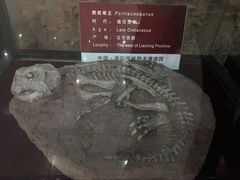 -中国西峡恐龙遗迹园