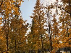 -汉长安城未央宫国家考古遗址公园