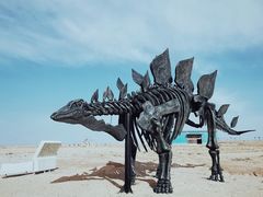 -二连浩特国家地质公园