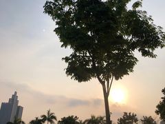 -凤岭儿童公园