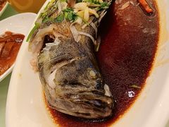 -河南省黄河迎宾馆