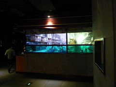 -大碗先生(株洲天虹店)