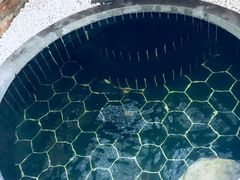 -盘锦红海温泉乐园