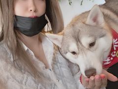 -Husky Go! 哈士奇体验馆·宠物咖啡厅狗咖