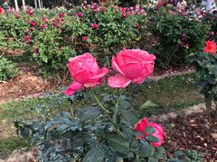 -人民公园(罗湖区)