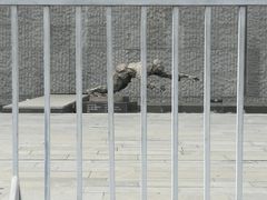 -侵华日军南京大屠杀遇难同胞纪念馆