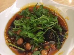 乌骨鸡爪-新天厨酒家(二分店)