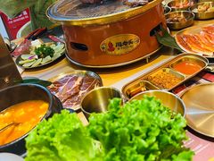 -闻老头·菊花炭烤肉(D11店)