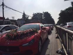 -蚂蚁婚车