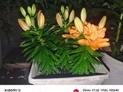 -蓉新商务酒店(华西医院武侯祠店)