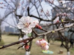 -桂溪生态公园