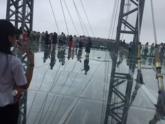 -呀诺达热带雨林