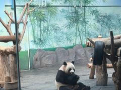 -秦皇岛野生动物园
