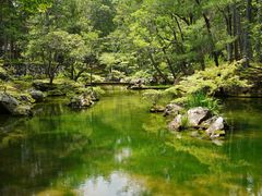 -西芳寺(苔寺)