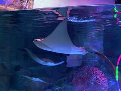 -沈阳海洋探索中心