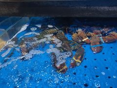 -炊江南·上海菜(国展华漕店)