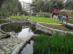 -成都市活水公园